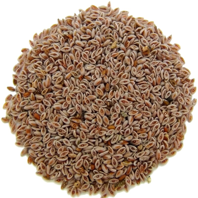 Miniatuur 1